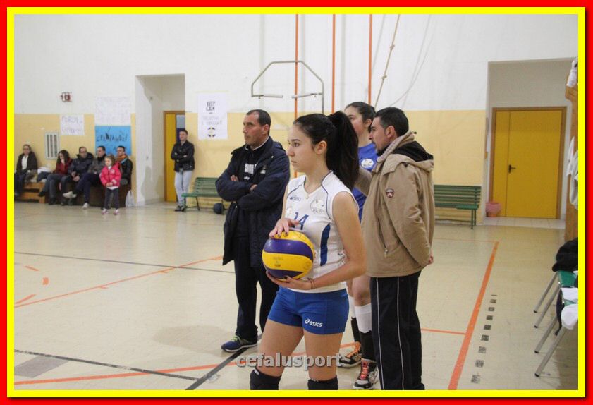 140305 Primula 018_tn.jpg